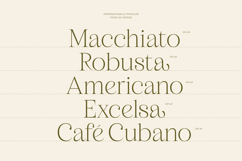 Magiras Swift - Elegant Display Serif Product Image 3