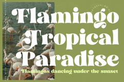 Magiste Crystal - Modern Retro Serif Font Product Image 6