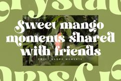 Magiste Crystal - Modern Retro Serif Font Product Image 15