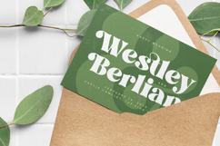 Magiste Crystal - Modern Retro Serif Font Product Image 17