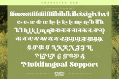 Magiste Crystal - Modern Retro Serif Font Product Image 19