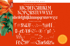 Magitals Glowing - New Modern Serif Font Product Image 18