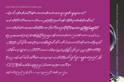 Magnetic Playback - Handbrush Script Font Product Image 13