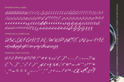 Magnetic Playback - Handbrush Script Font Product Image 14