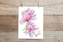 Magnolia - Watercolor Print, Patterns, Clip arts Product Image 2