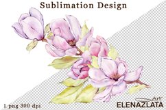 Watercolor pink magnolia flowers clipart, hand drawn Product Image 1