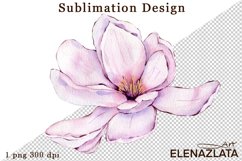Watercolor pink magnolia flowers clipart, hand drawn Product Image 1
