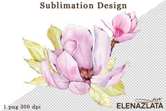 Watercolor pink magnolia flowers clipart, hand drawn Product Image 1