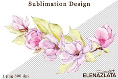 Watercolor pink magnolia flowers clipart, hand drawn Product Image 1