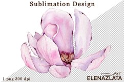 Watercolor pink magnolia flowers clipart, hand drawn Product Image 1
