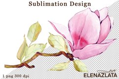 Watercolor pink magnolia flowers clipart, hand drawn Product Image 1