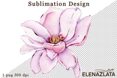 Watercolor pink magnolia flowers clipart, hand drawn Product Image 1