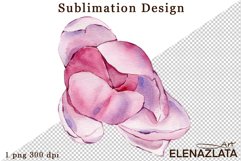 Watercolor pink magnolia flowers clipart, hand drawn Product Image 1
