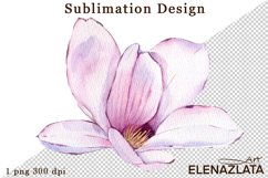Watercolor pink magnolia flowers clipart, hand drawn Product Image 1