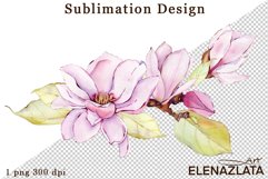 Watercolor pink magnolia flowers clipart, hand drawn Product Image 1