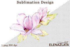 Watercolor pink magnolia flowers clipart, hand drawn Product Image 1