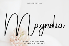 Magnolia Product Image 1