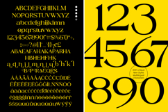 Magode - Collection Modern Serif Product Image 10