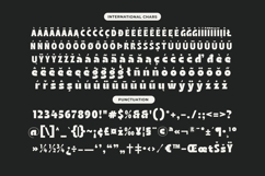 Magot - Groovy Display Typeface Product Image 18