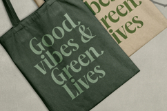 Mailyo - Modern Serif Font Product Image 8