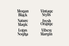 Mailyo - Modern Serif Font Product Image 9