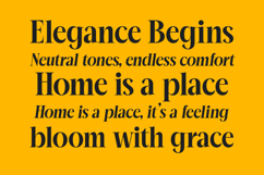 Mailyo - Modern Serif Font Product Image 12