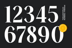 Mailyo - Modern Serif Font Product Image 14