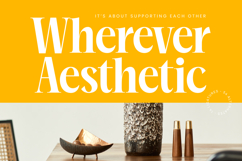 Mailyo - Modern Serif Font Product Image 15