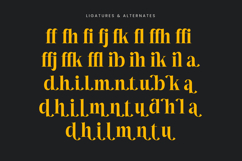 Mailyo - Modern Serif Font Product Image 18