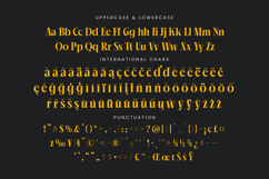 Mailyo - Modern Serif Font Product Image 19