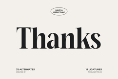 Mailyo - Modern Serif Font Product Image 20