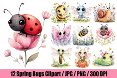 12 Spring Bugs Clipart Bundle, Watercolor Insects PNG Product Image 1