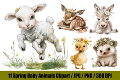 11 Watercolor Baby Animals Clipart Bundle, Cute Woodland Product Image 1