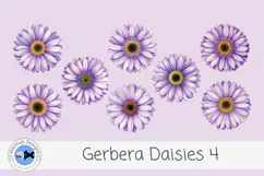 Watercolor Gerbera Daisies PNG Floral Clipart 4 Product Image 1
