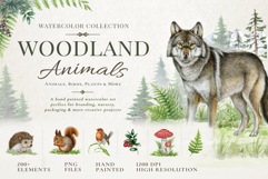 Woodland Animals Product Image 1