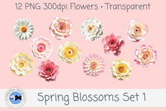 Spring PNG Blossoms 1 Product Image 1