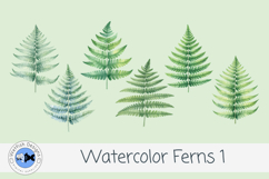 Watercolor Ferns Clipart PNG Set | Botanical Greenery Leaves Product Image 1