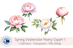 Watercolor PNG 300dpi Peony Flowers 1 Product Image 1