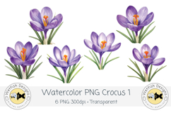 Spring Crocus PNG Watercolor Clipart 1 Product Image 1