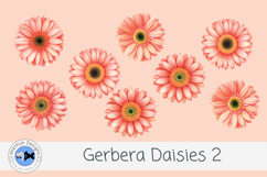 Watercolor Gerbera Daisies PNG Floral Clipart Set 2 Product Image 1