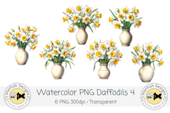 Watercolor Daffodils PNG Clipart Set 4 Product Image 1