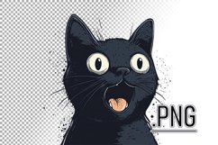 Expressive Black Cat With Excitement Product Image 1
