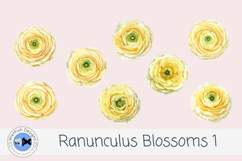 Ranunculus Watercolor Flowers 1 Product Image 1