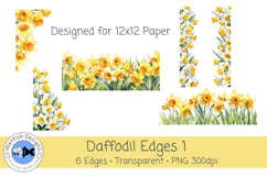 Daffodil PNG Clipart Edges/Borders 1 Product Image 1