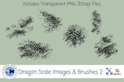 Dragon Scale Brushes and Images 2 Product Image 1