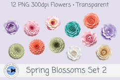 Spring PNG Blossoms 2 Product Image 1