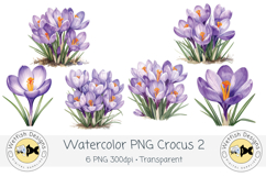 Spring Crocus PNG Watercolor Clipart 2 Product Image 1