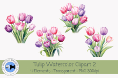 Spring Tulips PNG Watercolor Clipart 2 Product Image 1