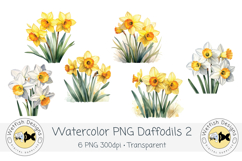 Watercolor Daffodils PNG Clipart Set 2 Product Image 1