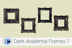 Dark Academia Frames 1 Product Image 1
